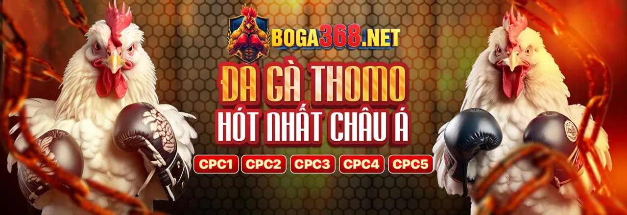 Hình ảnh chính của blog OKKING33 với thông tin chi tiết về cá cược trực tuyến và ưu đãi độc quyền 2026