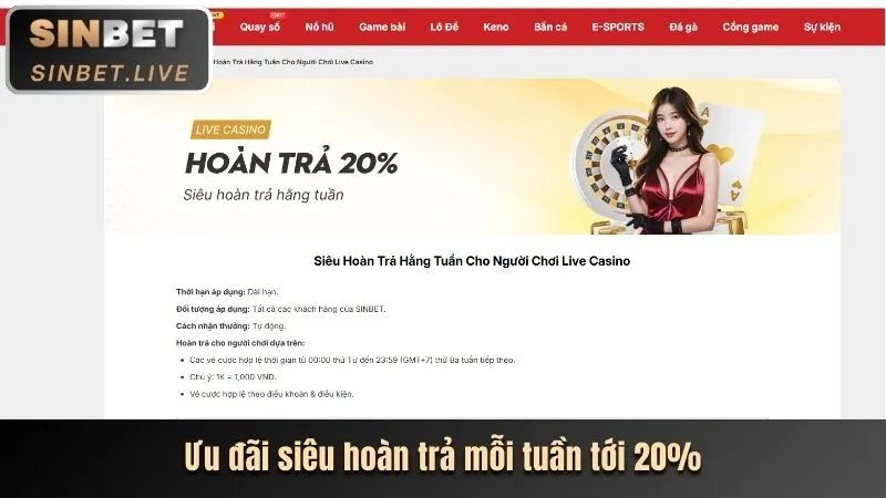 Hoàn trả hàng tuần okking33
